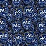 NHL-Pacific-Division.jpg