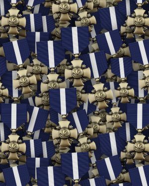 Navy Cross