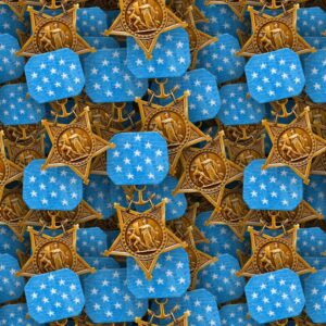 Navy Medal of Honor