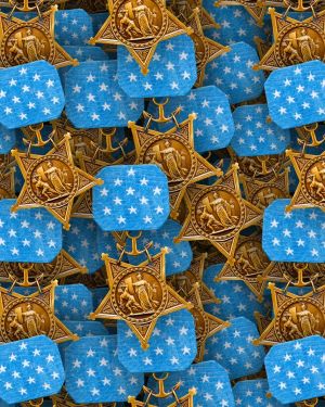 Navy Medal of Honor