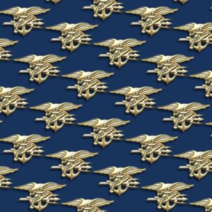 Navy Seals 24
