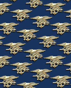 Navy Seals 24