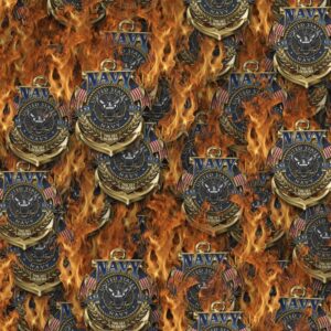 Navy Under Fire