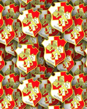 Naxxar Lions