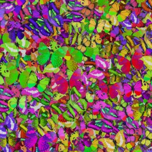 Neon Butterflies 22