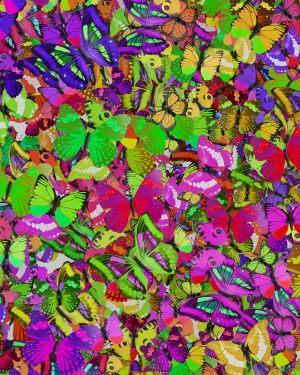 Neon Butterflies 22