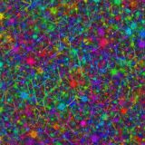 Neon-Cube-Cluster-23-thumb.jpg