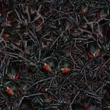 Nest-of-Black-Widow-Spiders-thumb.jpg