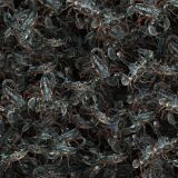 Nest-of-Scorpions-22.jpg