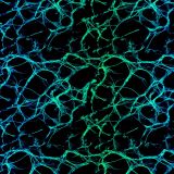 Neural-Net-Blue-Green.jpg
