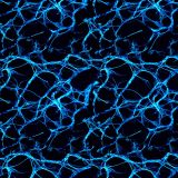 Neural-Net-Blue.jpg