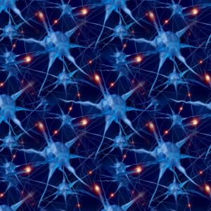 Neurons 22