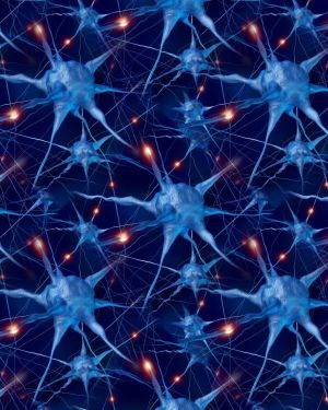 Neurons 22