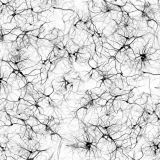 Neurons-23-thumb.jpg