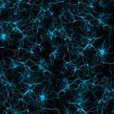 Neurons-25-thumb.jpg