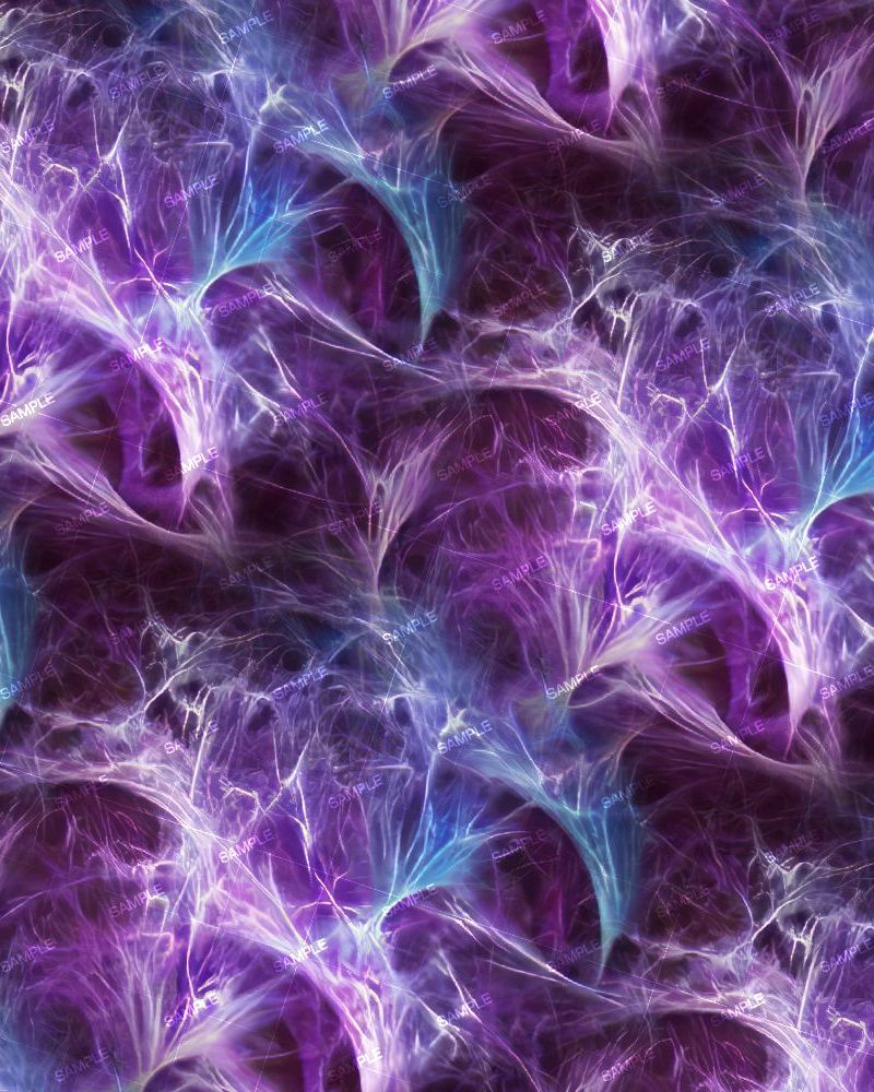 Neurons 28