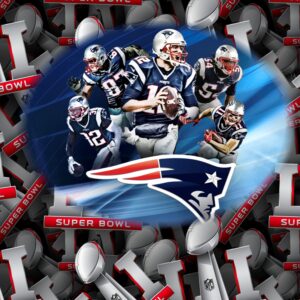 New England Patriots 11x16