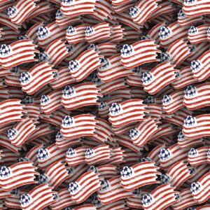 New England Revolution 22