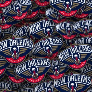New Orleans Pelicans 22