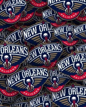 New Orleans Pelicans 22