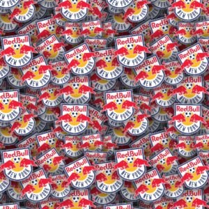 New York Red Bulls 22
