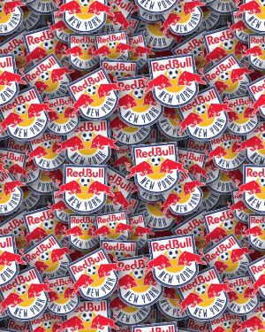 New York Red Bulls 22