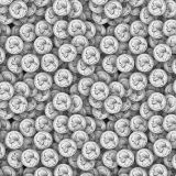 Nickels-22.jpg