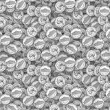 Nickels-24.jpg