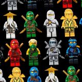 Ninjago-Lego-Characters-25.jpg