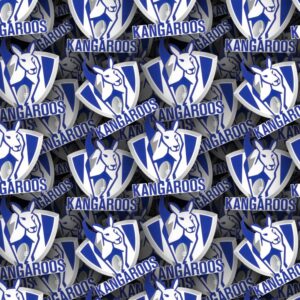 North Melbourne FC 22