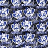 North-Melbourne-FC-22.jpg