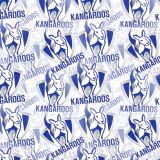 North-Melbourne-FC-23.jpg