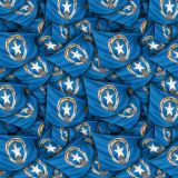 Northern-Mariana-Islands-US-Territory-Flag.jpg