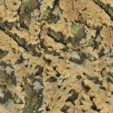Northside-Camo-22-thumb.jpg