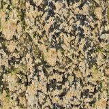 Northside-Camo-23-thumb.jpg