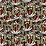 OGC-Nice.jpg