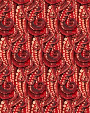 Octopus Tentacles