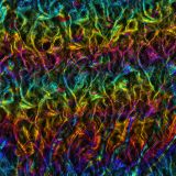 Oil-Slick-on-Dark-Ocean-22.jpg