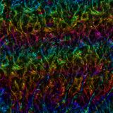Oil-Slick-on-Dark-Ocean-23.jpg