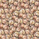 Old-Baseballs-22.jpg