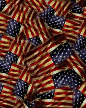 Old Glory Flag 22