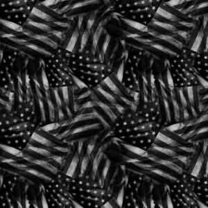 Old Glory Flag 23 Grayscale