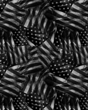 Old Glory Flag 23 Grayscale