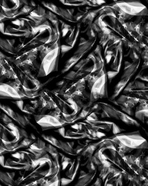 Old Glory Flag 24 Grayscale