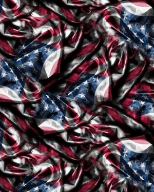 Old Glory Flag 24