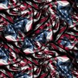 Old-Glory-Flag-24.jpg