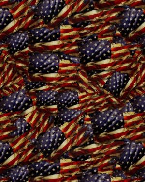Old Glory Flag 25