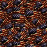 Old-Glory-Flag-25.jpg
