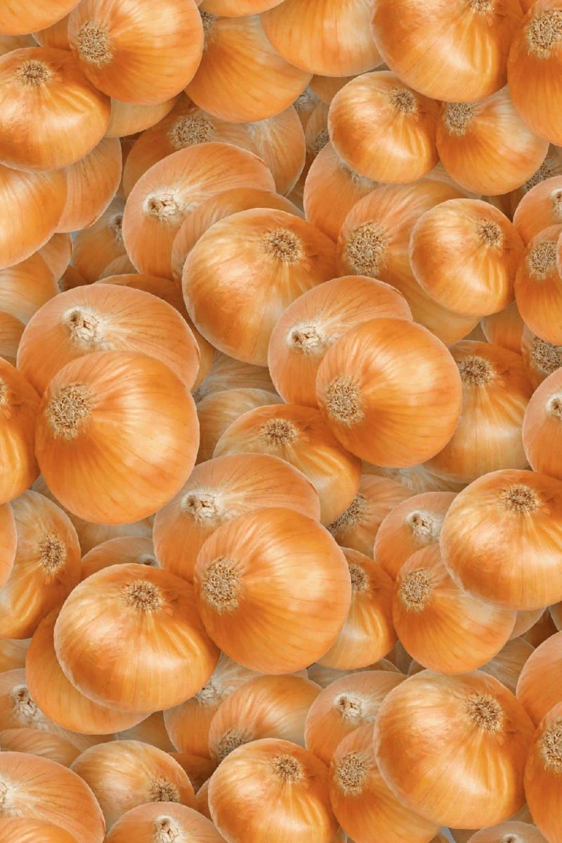 Onions 22