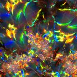 Opal-23.jpg